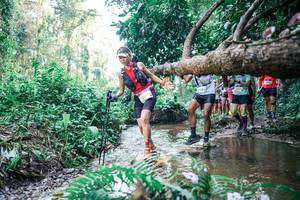 BIB: 
                            <button type="button" onclick="openModal(25454496)" class="btn btn-primary btn-sm float-right btn-popup" data-toggle="modal" data-target=".modal-high-quality">
                        <i class="fas fa-shopping-cart"></i> Add to Cart
                    </button>
                                            <button type="button" onclick="isThisMe(25454496, true)" class="btn btn-success btn-sm float-right btn-popup btn-isme hidden" data-toggle="tooltip" data-placement="bottom" title="นี่คือรูปของคุณใช่ไหม คลิกที่นี่เพื่อเอาเข้าอัลบั้ม">
                        <i class="fas fa-plus"></i> Add to album
                    </button>
                    <button type="button" onclick="isThisMe(25454496, false)" class="btn btn-warning btn-sm float-right btn-popup btn-isnotme hidden">
                        <i class="fas fa-ban"></i> Remove from album
                    </button>